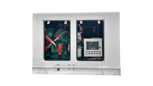 Perkins Generator Set Process